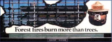 Smokey the Bear Billboard